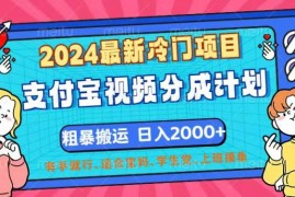 简单项目（12407期）2024最新冷门项目！支付宝视频分成计划，直接粗暴搬运，日入2000+，有&#8230;08-31中创网