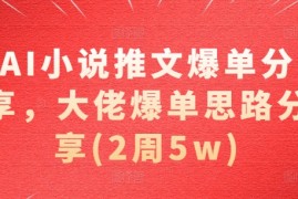 每日AI小说推文爆单分享，大佬爆单思路分享(2周5w)11-13冒泡网