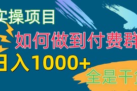 热门创业项目项目，[实操项目]付费群赛道，日入1000+