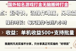 创业项目（13307期）国外知名游戏打金无脑搬砖单机收益500，每天操作七到八个小时11-12中创网