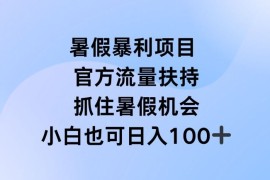 每日暑假暴利直播项目，官方流量扶持，把握暑假机会【揭秘】便宜07月09日冒泡网VIP项目