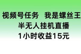 2024最新视频号任务，我是螺丝王， 半无人挂机1小时收益15元【揭秘】，06月27日冒泡网VIP项目