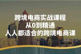 跨境电商实战课程：从0到精通，人人都适合的跨境电商课（14节课），06月23日福缘网VIP项目