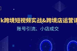 每天Tk跨境短视频实战&amp;跨境店运营课：账号引流、小店成交08-15福缘网