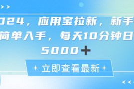 （11236期）2024应用宝拉新，真正的蓝海项目，每天动动手指，日入5000+，06月24日中创网VIP项目