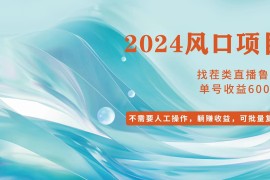 最新项目（11868期）小白轻松入手，当天收益600➕，可批量可复制便宜07月29日中创网VIP项目