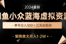 热门虚拟资源项目:最新闲鱼小众蓝海虚拟资源，单号日入300＋，三天必起店，矩阵放大月入1-2W