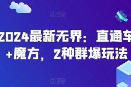 每天2024最新无界：直通车+魔方，2种群爆玩法便宜07月07日冒泡网VIP项目