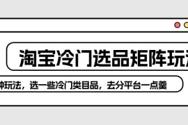 2024国内电商项目，淘宝冷门选品矩阵玩法：换种玩法，选一些冷门类目品，去分平台一点羹