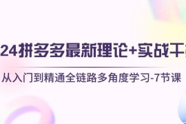 实战国内电商项目，2024拼多多 最新理论+实战干货，从入门到精通全链路多角度学习-7节课