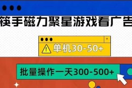 赚钱项目筷手磁力聚星4.0实操玩法，单机30-50+可批量放大【揭秘】10-18冒泡网