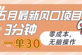 2024短视频运营项目，五月最新风口项目，3分钟一单30，零成本，无脑操作