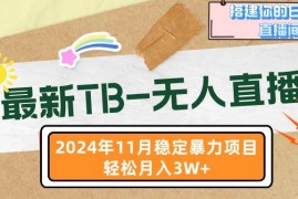 实战（13243期）最新TB-无人直播11月最新，打造你的日不落直播间，轻松月入3W+11-07中创网