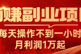 实战（11449期）躺赚副业项目，每天操作不到一小时，月利润1万起，实战篇便宜07月06日中创网VIP项目