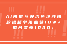 创业项目Ai田间乡野治愈视频，爆款视频单条点赞10W+，单日变现1000+11-12福缘网