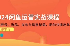 赚钱项目（13290期）2024闲鱼运营实战课程：揭秘养号、选品、发布与销售秘籍，助你快速出单11-11中创网