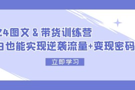 创业项目（12137期）2024图文+带货训练营，小白也能实现逆袭流量+变现密码08-14中创网