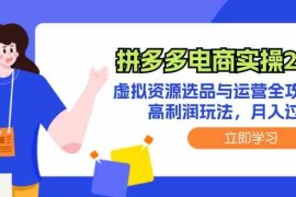 实战拼多多电商实操2.0：虚拟资源选品与运营全攻略，高利润玩法，月入过万08-29福缘网