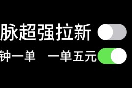 2024最新（11580期）微脉超强拉新，两分钟1单，一单利润5块，适合小白便宜07月12日中创网VIP项目