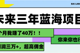 热门项目（11716期）未来三年，蓝海赛道，月入3万+便宜07月20日中创网VIP项目