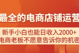 （11266期）电商店铺运营教学，新手小白也能日收入2000+，电商老板不愿意告诉你的机密，06月25日中创网VIP项目