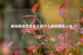 查询租赁信息查不到什么原因呢怎么办