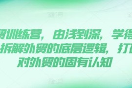 简单项目外贸训练营，由浅到深，学得超快，拆解外贸的底层逻辑，打破你对外贸的固有认知便宜07月14日冒泡网VIP项目