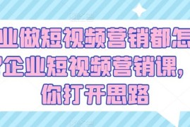 企业做短视频营销都怎么玩?企业短视频营销课，帮你打开思路，06月25日冒泡网VIP项目