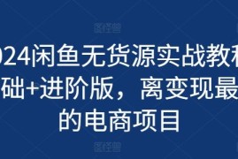 实战2024闲鱼无货源实战教程-基础+进阶版，离变现最近的电商项目便宜07月10日冒泡网VIP项目