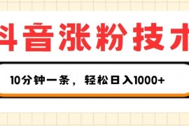 每日抖音涨粉技术，1个视频涨500粉，10分钟一个，3种变现方式，轻松日入1K+【揭秘】，06月30日冒泡网VIP项目