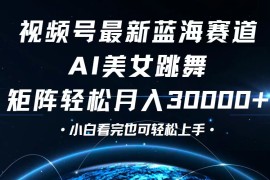 热门项目（12594期）视频号最新蓝海赛道，小白也能轻松月入30000+09-14中创网