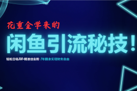 实战（12887期）花重金学来的闲鱼引流秘技！轻松日吸300+精准创业粉，每天躺赚5000+，2&#8230;10-09中创网