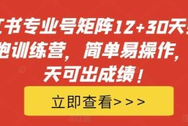 2024最新小红书专业号矩阵12+30天引流陪跑训练营，简单易操作，15天可出成绩!10-17冒泡网