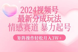 最新项目（12922期）2024最新视频号分成玩法，情感赛道，暴力起号，矩阵操作轻松月入3W+10-11中创网