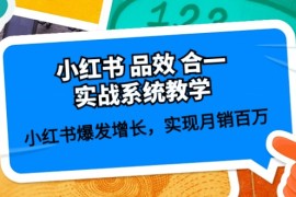 热门小红书项目，小红书 品效 合一实战系统教学：小红书爆发增长，实现月销百万 (59节)