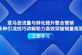 创业项目（11335期）亚马逊流量与转化提升整合营销，多种引流技巧讲解助力高效突破销量瓶颈，06月30日中创网VIP项目