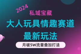 2024最新（11541期）私域宝藏：大人玩具情趣赛道合规新玩法，零投入，私域超高流量成单率高便宜07月10日中创网VIP项目