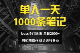 实战单人一天1000条笔记，日入2000+，BOSS直聘的正确玩法【揭秘】便宜08月01日冒泡网VIP项目