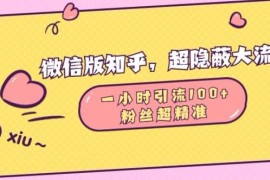 热门项目微信版知乎，超隐蔽流量入口1小时引流100人，粉丝质量超高【揭秘】11-15冒泡网