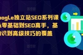 热门项目谷歌google独立站SEO系列课程，从零基础到SEO高手，基础知识到高级技巧的覆盖10-11冒泡网