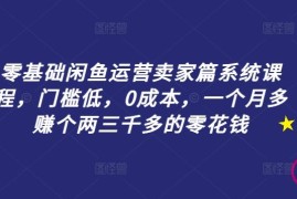 简单项目零基础闲鱼运营卖家篇系统课程，门槛低，0成本，一个月多赚个两三千多的零花钱08-28冒泡网