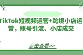 实战TikTok短视频运营+跨境小店运营，账号引流、小店成交08-16冒泡网