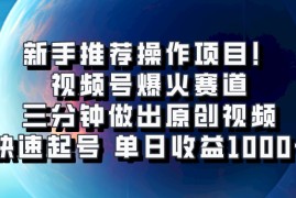 最新项目视频号爆火赛道，三分钟做出原创视频，快速起号，单日收益1000+11-07福缘网