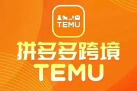 实战最新TEMU拼多多跨境教程，开店、运营、选品便宜08月12日冒泡网VIP项目