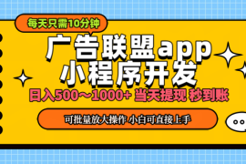 赚钱项目（11645期）小程序开发广告赚钱日入500~1000+小白轻松上手！便宜07月16日中创网VIP项目