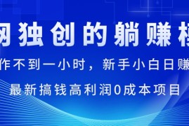 2024最新（11307期）每天操作不到一小时，新手小白日赚1500+，最新搞钱高利润0成本项目，06月28日中创网VIP项目