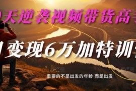 实战30天逆袭视频带货高手，单月变现6万加特训营-麦子甜08-24冒泡网