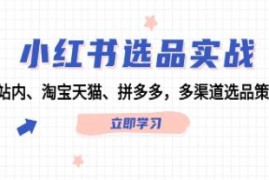 小红书选品实战，站内、淘宝天猫、拼多多，多渠道选品策略加抖音号运营