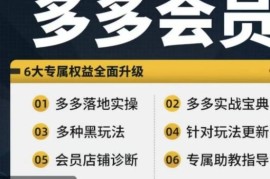 简单项目拼多多会员，拼多多实战宝典+实战落地实操，从新手到高阶内容全面覆盖便宜08月09日冒泡网VIP项目