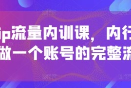 个人ip流量内训课，内行人教你做一个账号的完整流程